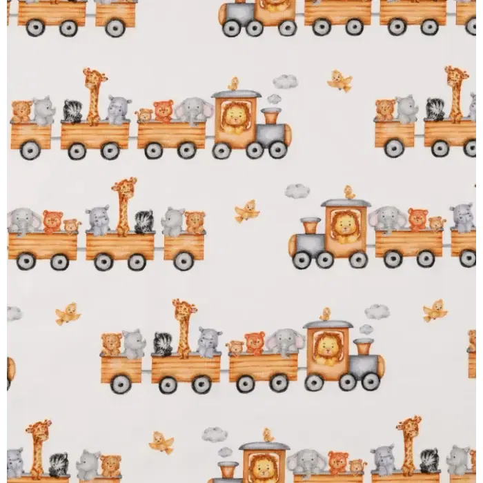 Jersey White Zoo Train