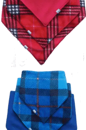 Reversible bandana bib